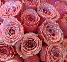 Pink Glitter Rose Bouquet